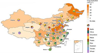 Crop Production Allocations for Saving Water and Improving Calorie Supply in China